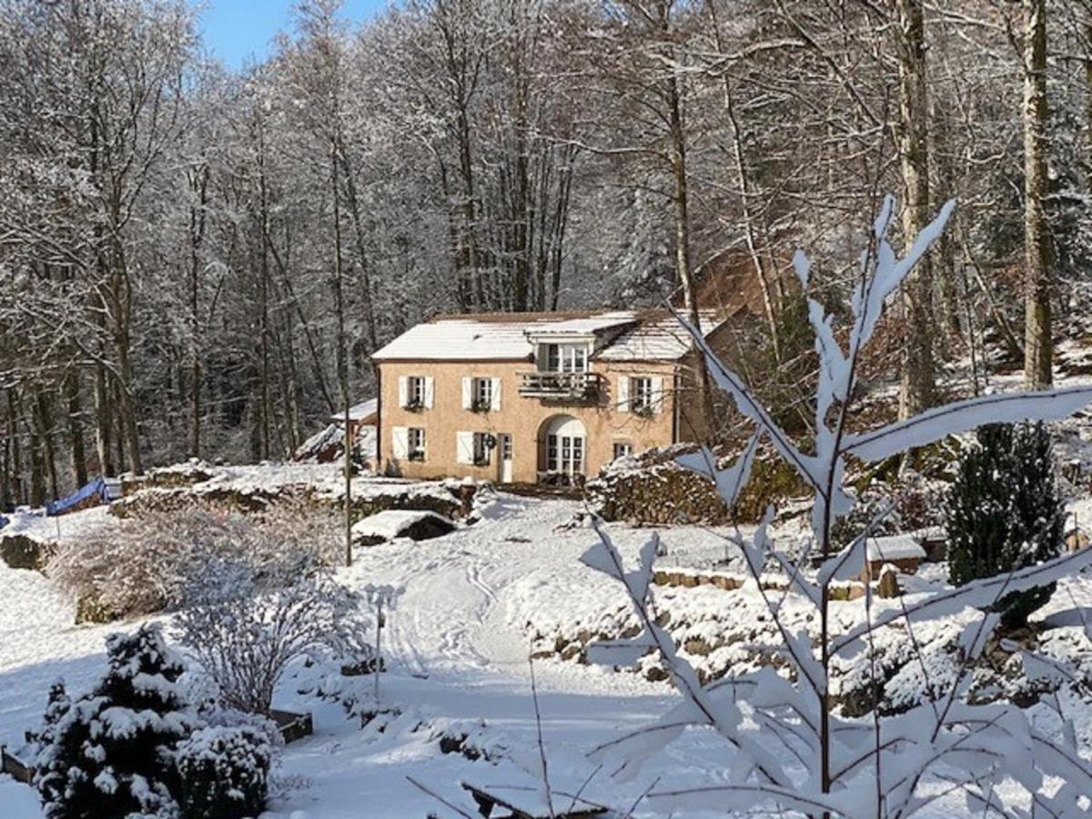 Gite Du Bois Des Hauts Les Mille Etangs La Lanterne-et-les-Armonts Esterno foto