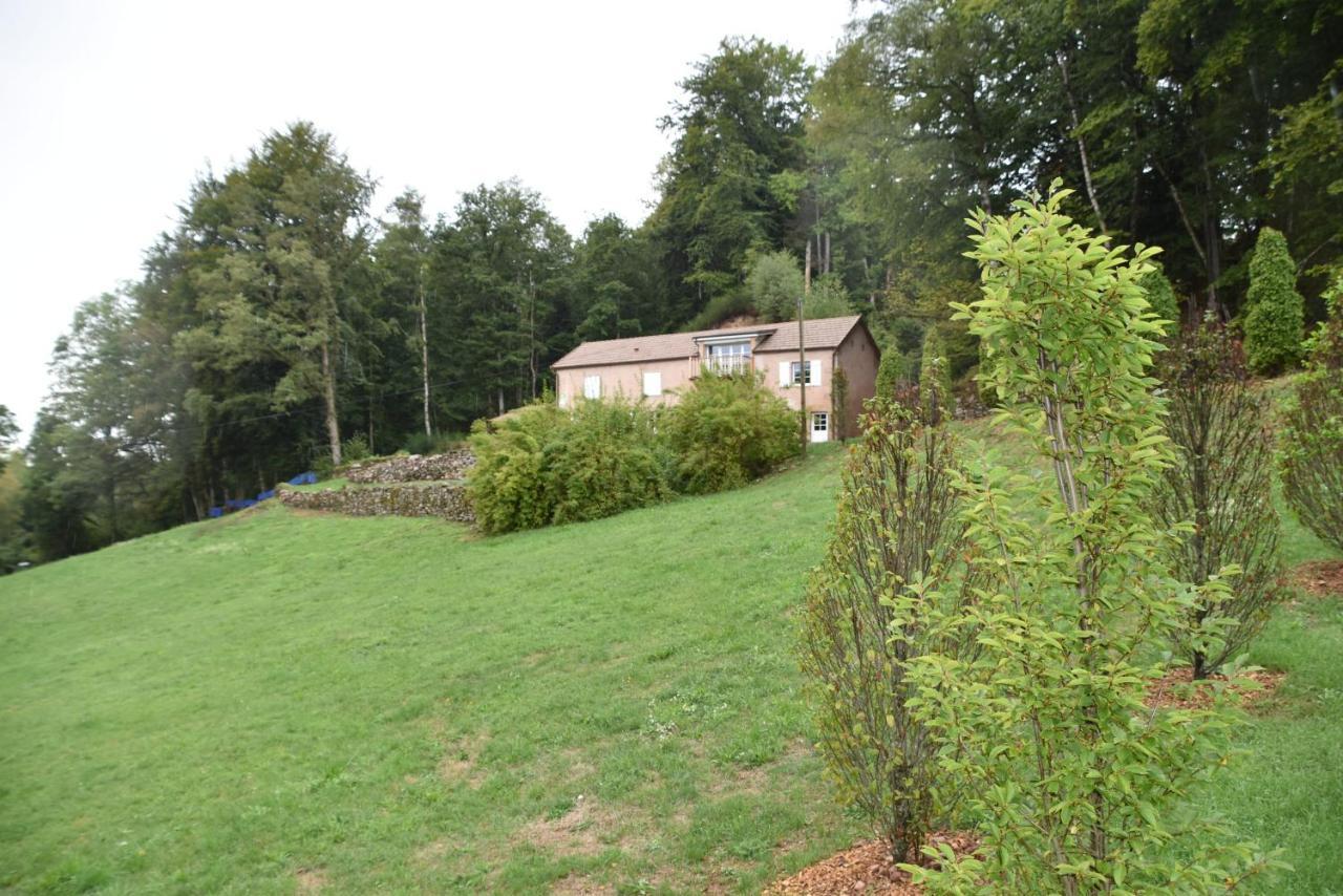 Gite Du Bois Des Hauts Les Mille Etangs La Lanterne-et-les-Armonts Esterno foto