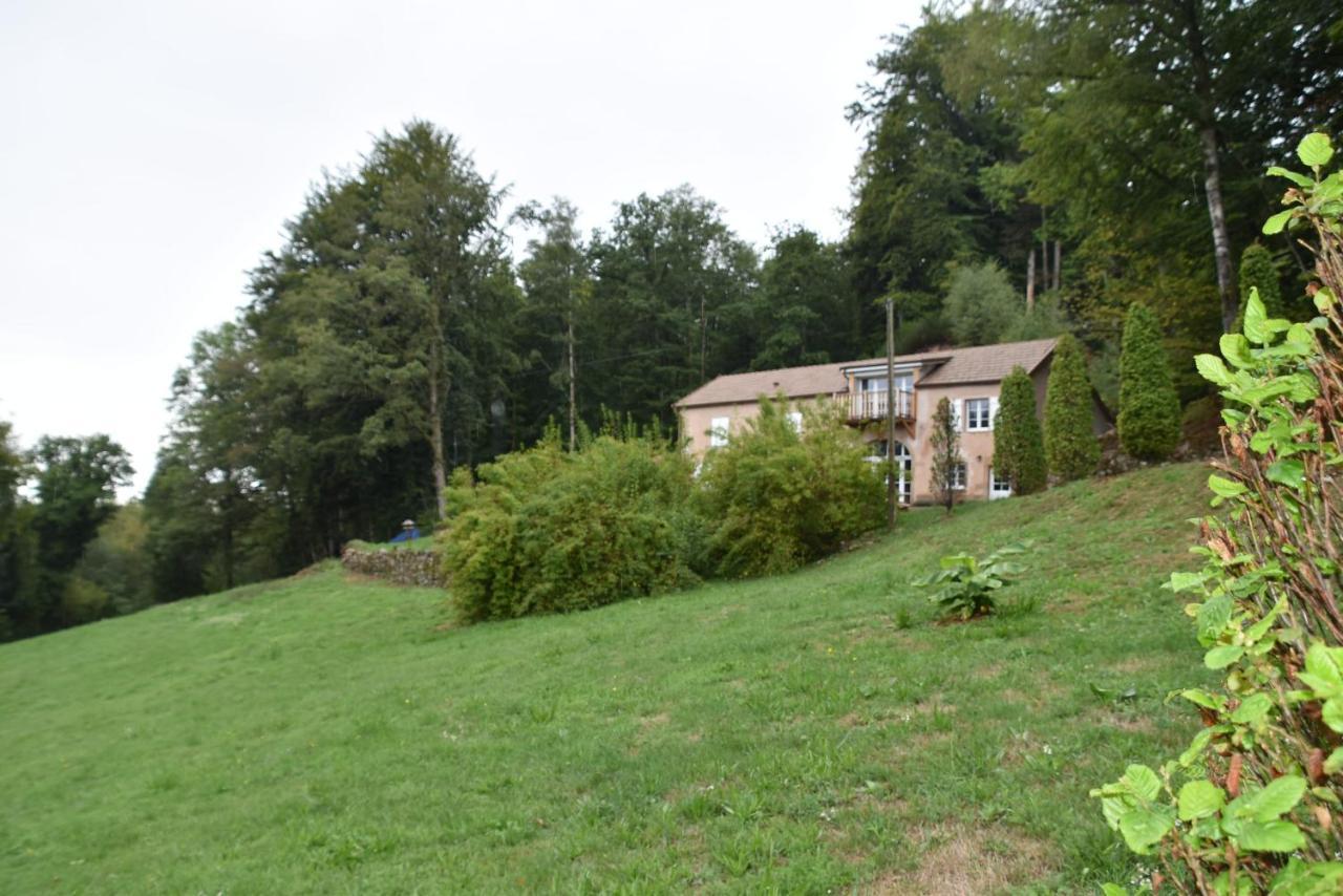 Gite Du Bois Des Hauts Les Mille Etangs La Lanterne-et-les-Armonts Esterno foto